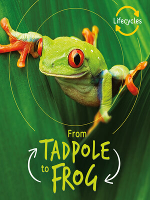 cover image of Lifecycles